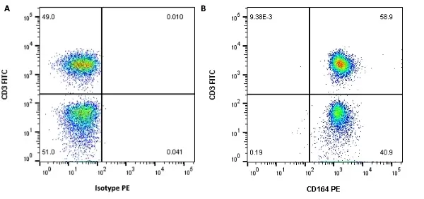 Anti Human CD164 Antibody, clone 67D2 gallery image 2