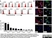 Anti Human CD166 Antibody, clone 3A6 thumbnail image 3