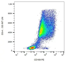 Anti Human CD169 Antibody, clone 7-239 gallery image 1