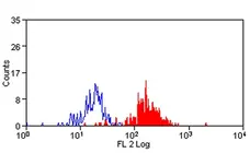 Anti Human CD172a Antibody, clone 15-414 gallery image 1
