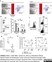 Anti Human CD172a Antibody, clone 15-414 thumbnail image 3