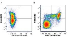 Anti Human CD172a Antibody, clone 15-414 gallery image 4