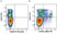 Anti Human CD172a Antibody, clone 15-414 thumbnail image 6