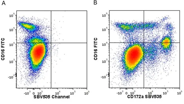 Anti Human CD172a Antibody, clone 15-414 gallery image 7
