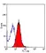 Anti Human CD178 Antibody, clone 14C2 thumbnail image 1