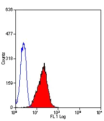 Anti Human CD178 Antibody, clone 14C2 gallery image 2