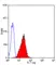 Anti Human CD178 Antibody, clone 14C2 thumbnail image 2
