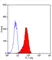 Anti Human CD178 Antibody, clone 14C2 thumbnail image 4