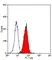 Anti Human CD178 Antibody, clone 14C2 thumbnail image 5