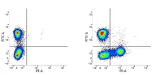 Anti Human CD18 (Activation Epitope) Antibody, clone MEM-148 gallery image 1