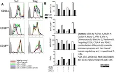 Anti Human CD18 (Activation Epitope) Antibody, clone MEM-148 gallery image 2