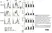 Anti Human CD18 (Activation Epitope) Antibody, clone MEM-148 thumbnail image 2