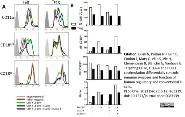Anti Human CD18 (Activation Epitope) Antibody, clone MEM-148 gallery image 2