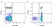 Anti Human CD18 Antibody, clone YFC118.3 thumbnail image 1