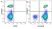 Anti Human CD18 Antibody, clone YFC118.3 thumbnail image 13