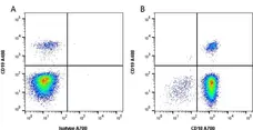 Anti Human CD18 Antibody, clone YFC118.3 gallery image 2