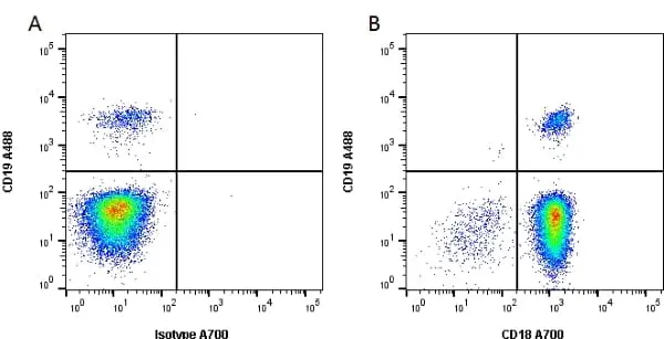 Anti Human CD18 Antibody, clone YFC118.3 gallery image 2