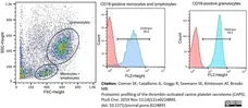 Anti Human CD18 Antibody, clone YFC118.3 gallery image 8