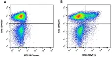 Anti Human CD186 Antibody, clone rD02-7B3 gallery image 2