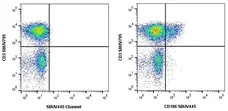 Anti Human CD186 Antibody, clone rD02-7B3 gallery image 7