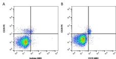 Anti Human CD19 Antibody, clone Bu12 gallery image 1