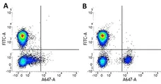 Anti Human CD19 Antibody, clone LT19 gallery image 1