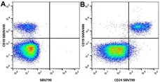 Anti Human CD19 Antibody, clone LT19 gallery image 100