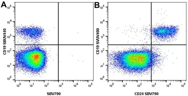 Anti Human CD19 Antibody, clone LT19 gallery image 100