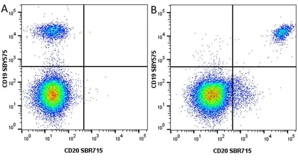 Anti Human CD19 Antibody, clone LT19 gallery image 102