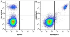 Anti Human CD19 Antibody, clone LT19 gallery image 103