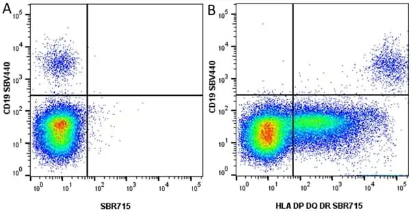 Anti Human CD19 Antibody, clone LT19 gallery image 104