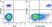 Anti Human CD19 Antibody, clone LT19 thumbnail image 106