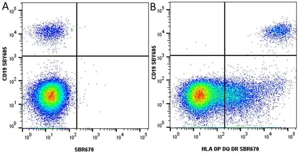 Anti Human CD19 Antibody, clone LT19 gallery image 106