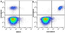 Anti Human CD19 Antibody, clone LT19 gallery image 107