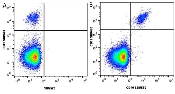 Anti Human CD19 Antibody, clone LT19 gallery image 109
