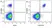 Anti Human CD19 Antibody, clone LT19 thumbnail image 110