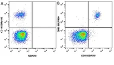 Anti Human CD19 Antibody, clone LT19 gallery image 111