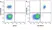 Anti Human CD19 Antibody, clone LT19 thumbnail image 111
