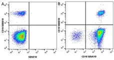 Anti Human CD19 Antibody, clone LT19 gallery image 112