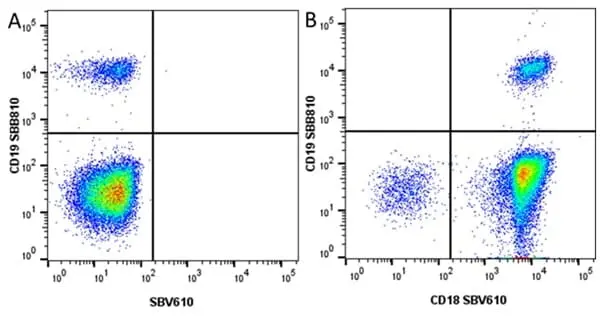 Anti Human CD19 Antibody, clone LT19 gallery image 112