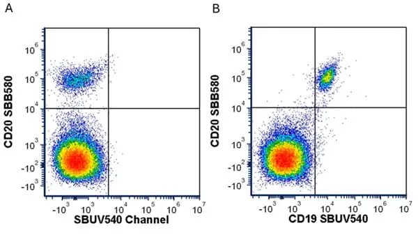Anti Human CD19 Antibody, clone LT19 gallery image 113
