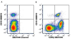 Anti Human CD19 Antibody, clone LT19 gallery image 114