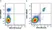 Anti Human CD19 Antibody, clone LT19 thumbnail image 115