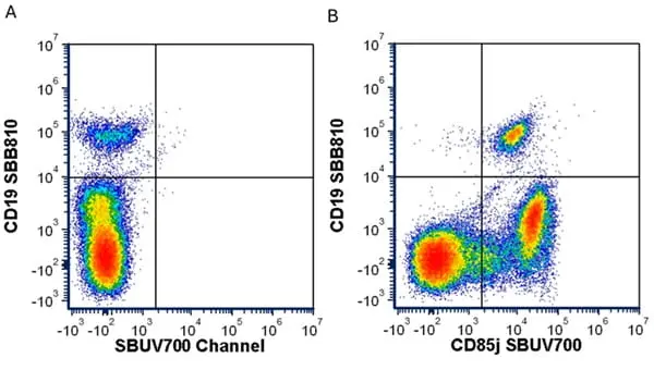 Anti Human CD19 Antibody, clone LT19 gallery image 116