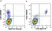 Anti Human CD19 Antibody, clone LT19 thumbnail image 117