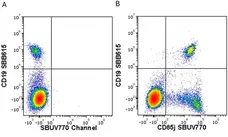 Anti Human CD19 Antibody, clone LT19 gallery image 118