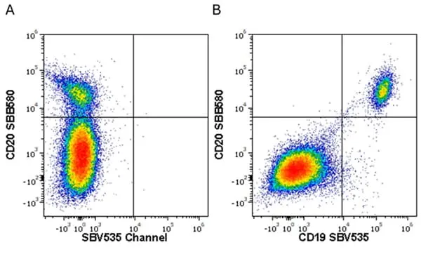 Anti Human CD19 Antibody, clone LT19 gallery image 119
