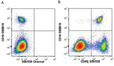 Anti Human CD19 Antibody, clone LT19 gallery image 120