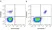 Anti Human CD19 Antibody, clone LT19 thumbnail image 122