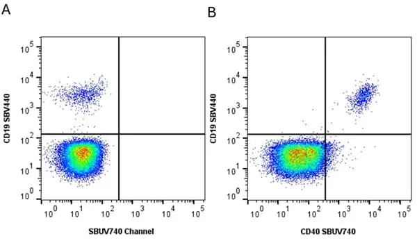 Anti Human CD19 Antibody, clone LT19 gallery image 122